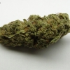 maui-wowie-strain-review-03