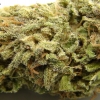 maui-wowie-strain-review-07