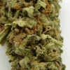maui-wowie-strain-review-10