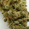 maui-wowie-strain-review-12