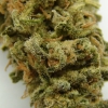 maui-wowie-strain-review-13
