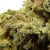 maui-wowie-strain-review-16