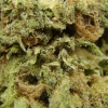 maui-wowie-strain-review-19