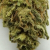maui-wowie-strain-review-20