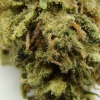 maui-wowie-strain-review-21