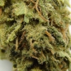 maui-wowie-strain-review-22