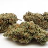 xj-13_1