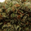 xj-13_10