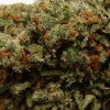 xj-13_11