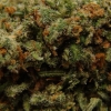 xj-13_12