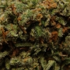 xj-13_13