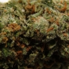 xj-13_14