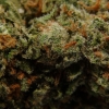 xj-13_15