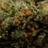 xj-13_16