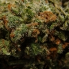 xj-13_17