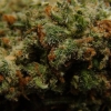 xj-13_18