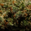 xj-13_19