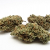 xj-13_2