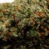 xj-13_20