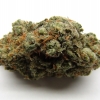 xj-13_23