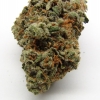 xj-13_24