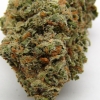 xj-13_26
