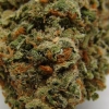 xj-13_28