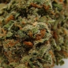 xj-13_29