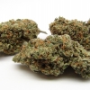 xj-13_3