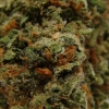 xj-13_30