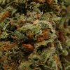 xj-13_31