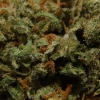 xj-13_32