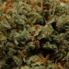 xj-13_33