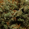 xj-13_34
