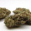 xj-13_37