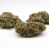 xj-13_39