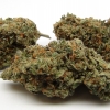 xj-13_4