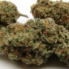 xj-13_5
