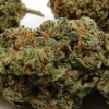 xj-13_6
