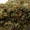 xj-13_9