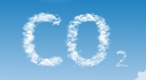 Carbon Dioxide: Fertilizer For The Air