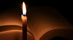 Grow Light Intensity Principles
