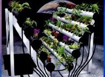 How to Supercharge Your Garden