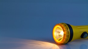 Light Cycles and Flowering Cannabis