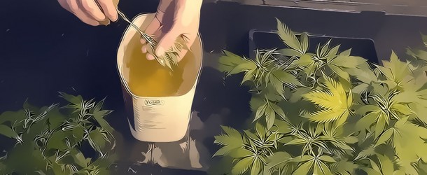 Dipping