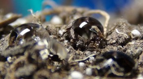 Surfactants: Is Your Water Wet Enough?