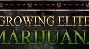 Growing Elite Marijuana – Book Review