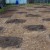 Plans For A Large Medical Garden