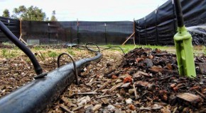 I.R. Ninja’s Outdoor Marijuana Garden 2012: Plumbing, Fencing, and Starts