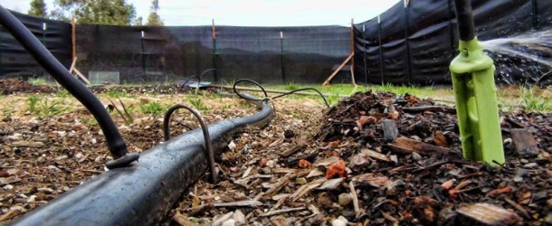 I.R. Ninja’s Outdoor Marijuana Garden 2012: Plumbing, Fencing, and Starts